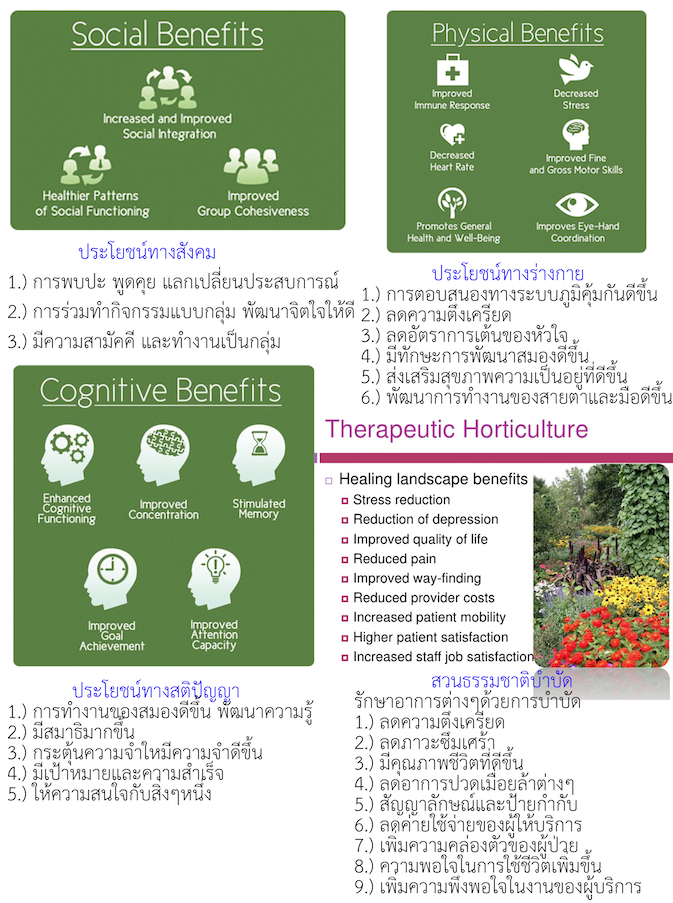 Screen Shot 2561 01 25 at 16.10.04